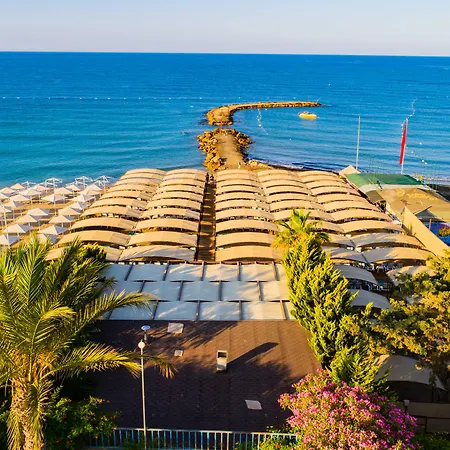 Senza The & ألانيا